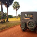 Siem Reap: Countryside Jeep Tour 3 hours - Who Will Love This Tour?