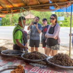 Siem Reap Countryside Vespa Backstreet - The Value of a Private, Flexible Experience