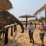 Siem Reap: Elephant Sanctuary Included Hotel Pickup Drop-off - A Deep Dive into the Siem Reap Elephant Sanctuary Tour