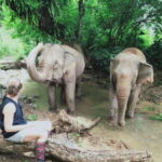 Siem Reap: Elephants & Apopo Rat Demining Private Trip - Why This Tour Matters
