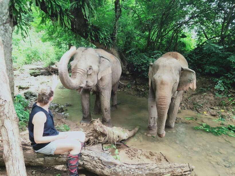 Siem Reap: Elephants & Apopo Rat Demining Private Trip - Why This Tour Matters