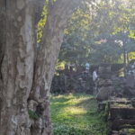 Siem Reap: Hidden Jungle Temples & Picnic Small Group Tour - A Peaceful Picnic in Nature