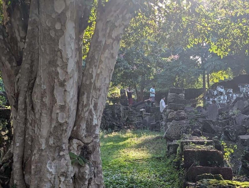 Siem Reap: Hidden Jungle Temples & Picnic Small Group Tour - A Peaceful Picnic in Nature