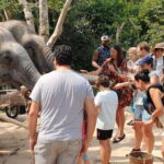 Siem Reap: Kulen Elephant Forest Guided Tour - The Experience from Different Perspectives