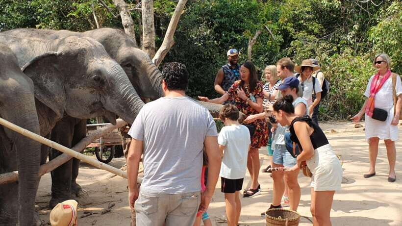 Siem Reap: Kulen Elephant Forest Guided Tour - The Experience from Different Perspectives