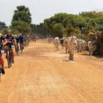 Siem Reap Nature & Cultural Safari Cycling Adventure - A Genuine Look at Siem Reap’s Countryside and Waterways