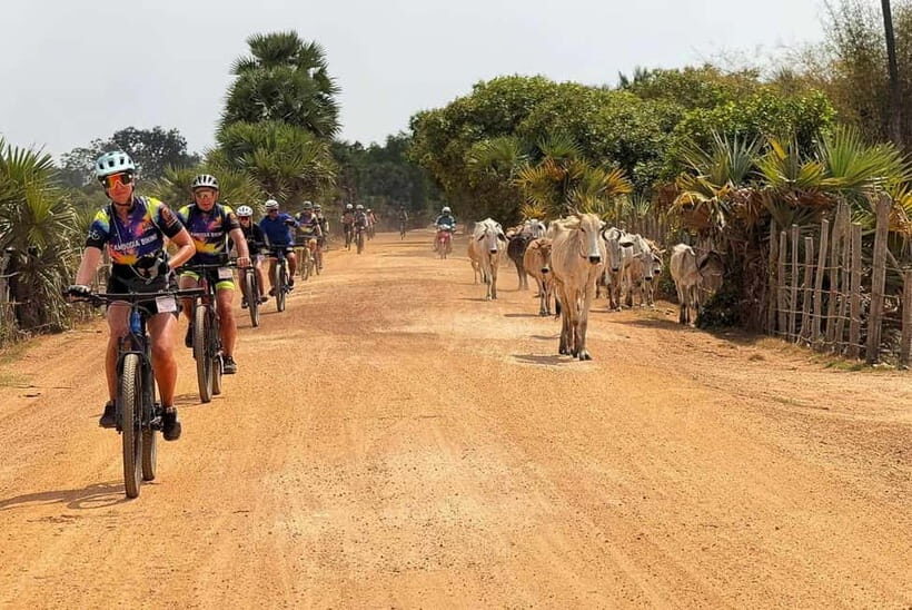 Siem Reap Nature & Cultural Safari Cycling Adventure - A Genuine Look at Siem Reap’s Countryside and Waterways