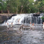 Siem Reap: Phnom Kulen, Banteay Srei, and Banteay Samre Tour - A Day Well Spent: Practical Details and Tips