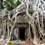 Siem Reap: Private Tour of Angkor Complex - An In-Depth Look at the Tour Itinerary