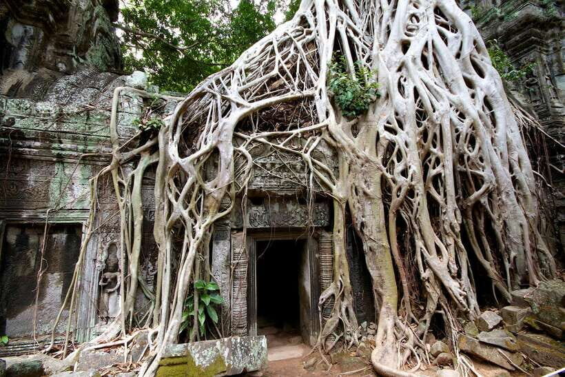 Siem Reap: Private Tour of Angkor Complex - An In-Depth Look at the Tour Itinerary