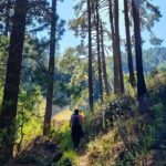 Sierra Norte Hike and Indigenous Village Full-Day Adventure - What Travelers Say