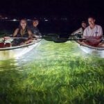 Siesta Key, FL - Clear Kayak LED Night Glass Bottom Tour - Final Thoughts