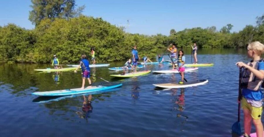 Siesta Key: Mangrove Kayak or Paddleboard Tour - What to Expect During the 2 Hours