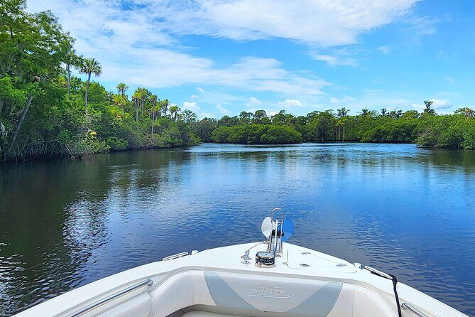 Sightseeing Cruise/Narrated Tour - Private 4 Hour - What’s Included and What’s Not