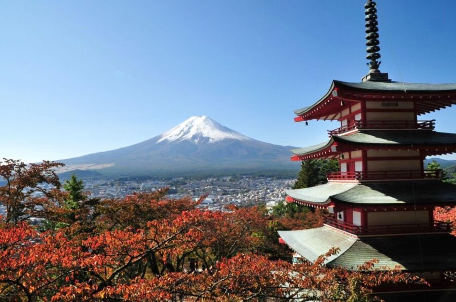Sightseeing Day Trip to Mount Fuji and Hakone Green Number - Deep Dive into the Itinerary
