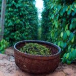 Sightseeing to the South of Phu Quoc Island and Relax on Sao Beach - The Highlights: A Closer Look at the Attractions