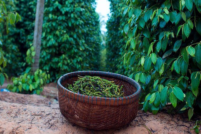 Sightseeing to the South of Phu Quoc Island and Relax on Sao Beach - The Highlights: A Closer Look at the Attractions