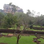 Sigiriya, Dambulla and Minneriya National Park Private Tour In - Who Should Book This Tour?