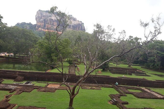 Sigiriya, Dambulla and Minneriya National Park Private Tour In - Who Should Book This Tour?