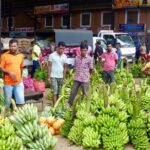 Sigiriya Dambulla Day trip from Kalutara Bentota Wadduwa Beruwala - Who Will Love This Tour?