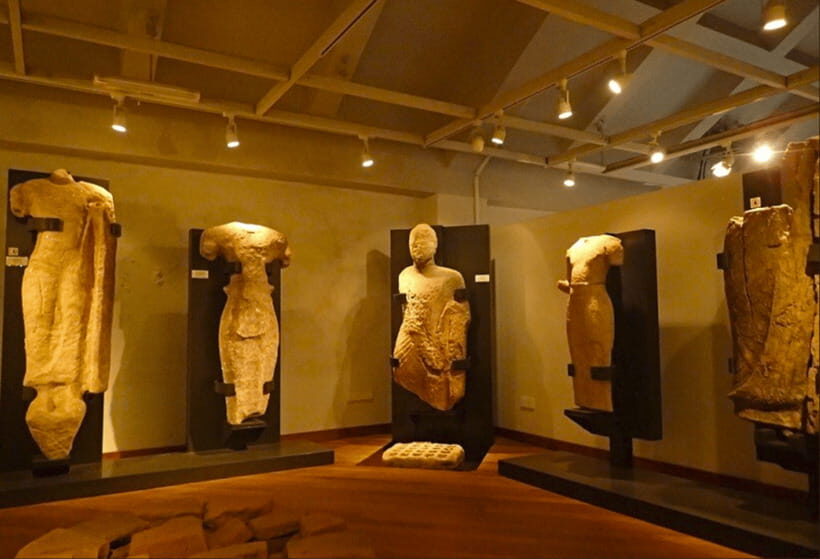 Sigiriya, Dambulla & Safari Day Tour from Colombo - Who Should Consider This Tour?