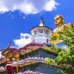 Sigiriya Rock and Dambulla Cave Temple all inclusive Private Day Trip - Who Will Love This Tour?