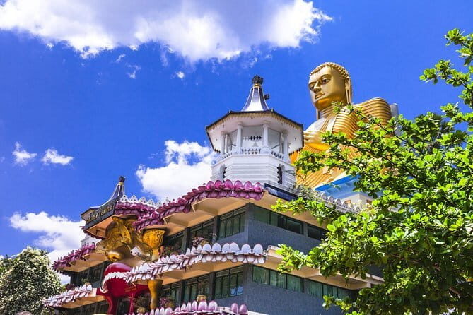 Sigiriya Rock and Dambulla Cave Temple all inclusive Private Day Trip - Who Will Love This Tour?