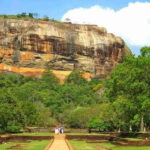 Sigiriya Rock and Dambulla Temples Day Trip - Who Will Love This Experience?