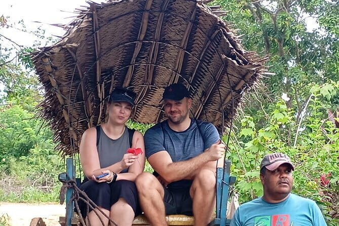 Sigiriya Rock, Village Tour and Wild Elephant Safari Sri Lanka - Discovering Sigiriya and the Surroundings: A Full-Day Journey