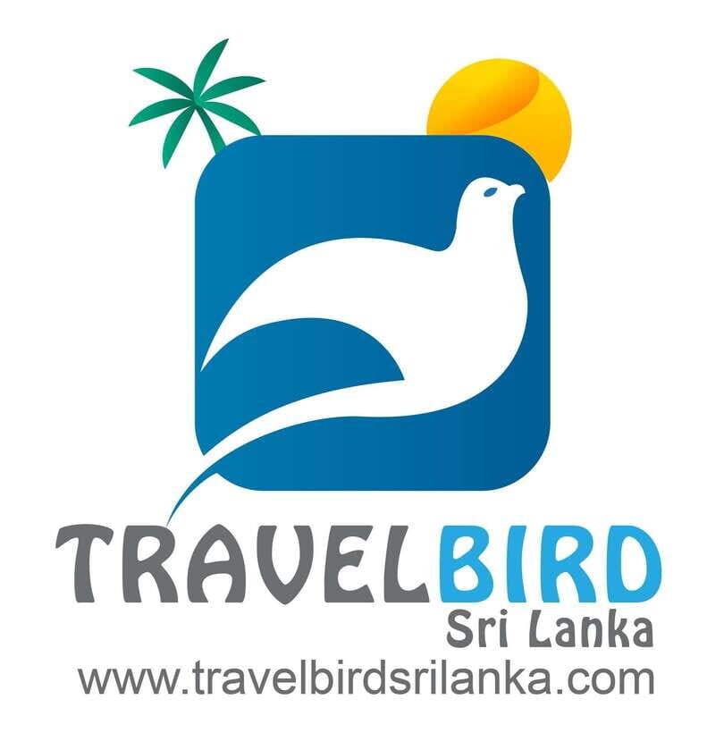 Sigiriya: Spice Garden, Sigiriya Rock, and Dambulla Tour - Final Thoughts