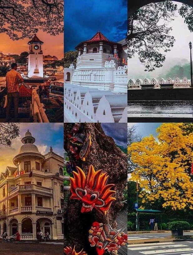 Sigiriya To Kandy Private Transfer: Visit Dambulla Temple - Why This Tour Offers Great Value