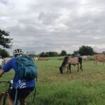 Silk Island at Twilight Cycle Encounter - Why This Tour Offers Outstanding Value