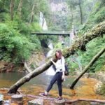 Silver and Love Waterfall, Lonely Tree Private Tour By Car - A Complete Look at the Tour Experience