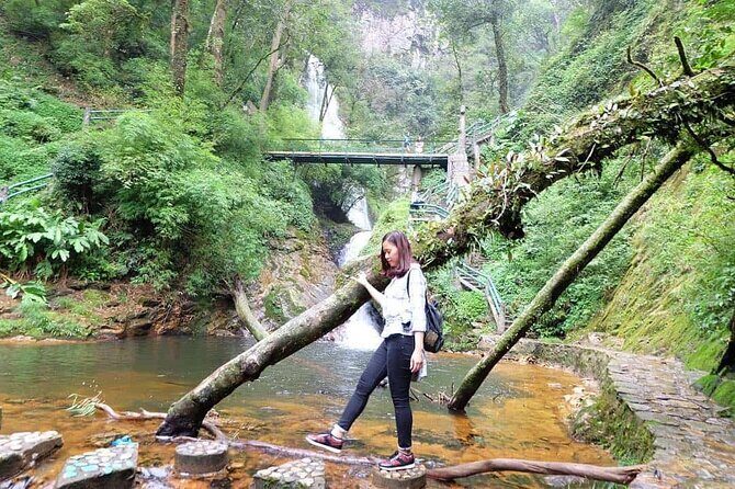 Silver and Love Waterfall, Lonely Tree Private Tour By Car - A Complete Look at the Tour Experience