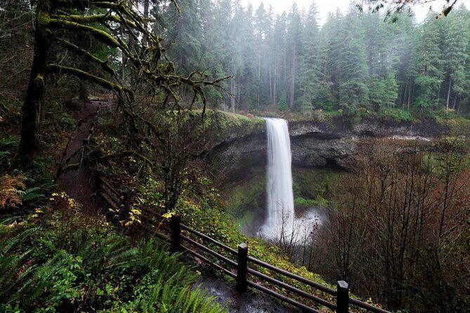 Silver Falls Private Hike Tour - Authentic Experiences and Authentic Value