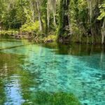 Silver Springs: Clear Kayaking Wildlife Tour - The Itinerary Breakdown