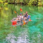 Silver Springs Jungle Kayaking and Paddleboarding - Practical Details and Value