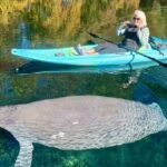 Silver Springs Premium Florida Wildlife Experience! - Why This Tour Stands Out