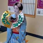 Simple Plan with Maiko - A Detailed Look at the Kyoto Maiko Experience
