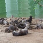 Singapore - bike adventure beyond the concrete jungle - What’s Included and What’s Not