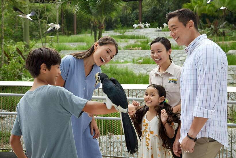Singapore: Bird Paradise Entry Ticket - What to Expect at Bird Paradise