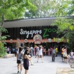 Singapore Bird Paradise & Zoo Full Day (Ticket & Transfer ) - The Practicalities: What You Need to Know