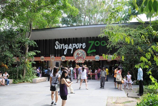 Singapore Bird Paradise & Zoo Full Day (Ticket & Transfer ) - The Practicalities: What You Need to Know