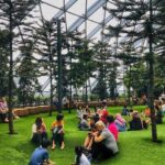 Singapore Changi Jewel Highlights Walking Tour - A Deep Dive into the Jewel Changi Highlights Walking Tour