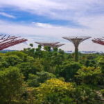 Singapore: Gardens by the Bay Bundle Entry Ticket - A Deep Dive into the Gardens by the Bay Experience