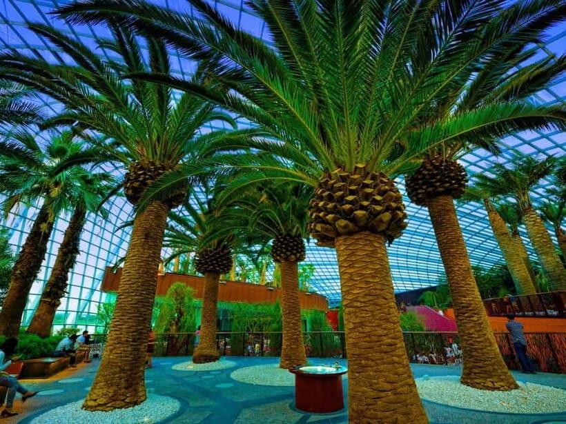 Singapore: Gardens by the Bay & Jurassic World with Pickup - Who Will Enjoy This Tour?