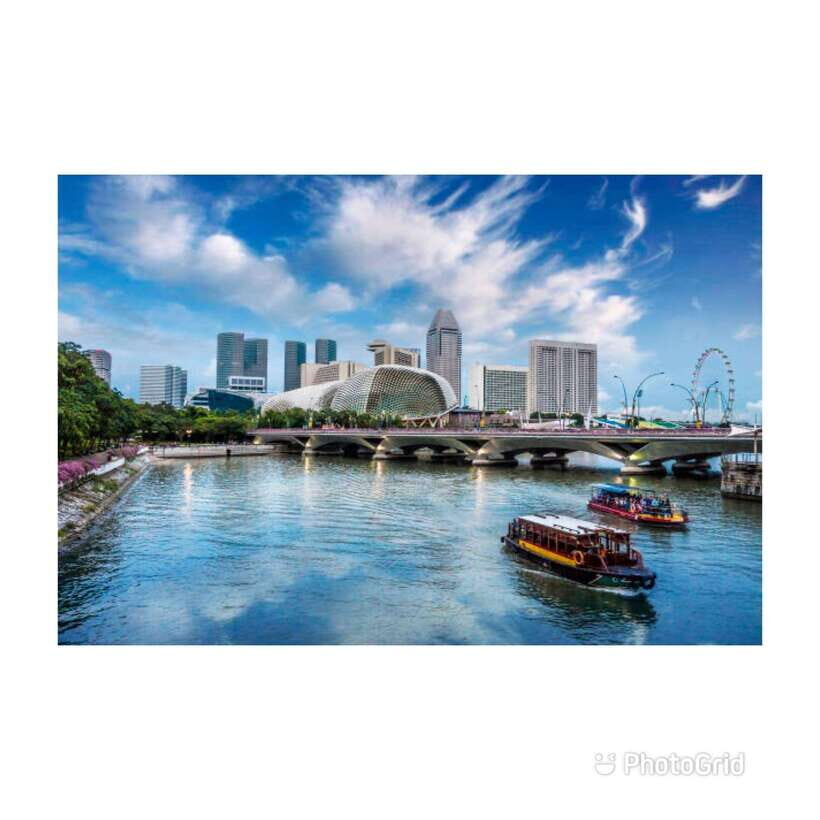 Singapore: Half/Full-Day City Car Tour (MBS, Chinatown) - Who Would Benefit Most?