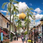 Singapore: Local Street Food Tasting Tour - Final Thoughts