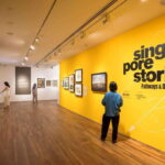 Singapore: National Gallery Singapore Admission Ticket - Who Will Love This Experience?
