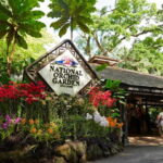 Singapore: National Orchid Garden Admission - Who Should Visit the National Orchid Garden?